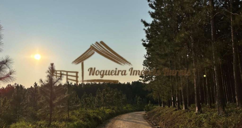 Fazenda para Venda em Itapetininga, Área Rural de Itapetininga