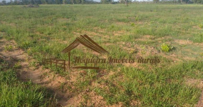 Fazenda à venda na Zona Rural, Pedro Gomes 