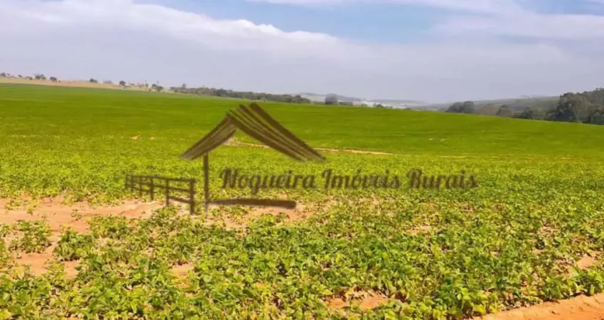 Fazenda à venda na Área Rural de Avaré, Avaré 