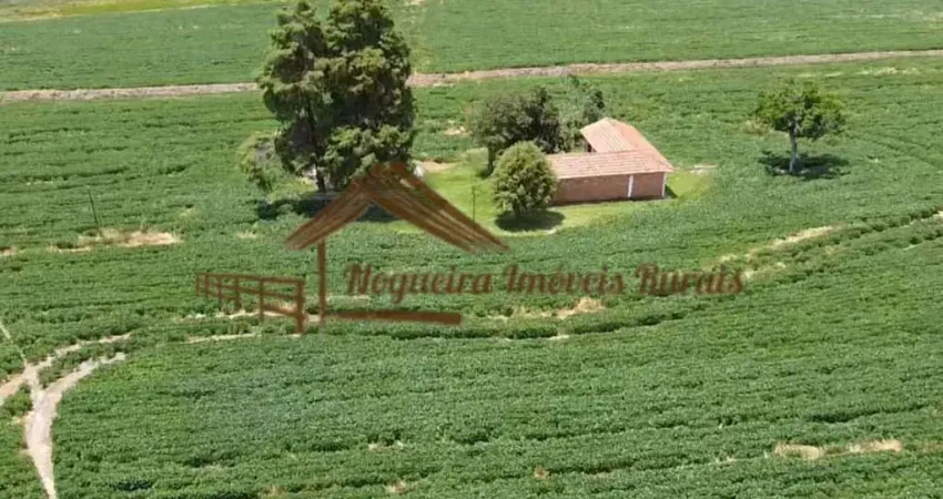 Chácara / sítio à venda na Área Rural de Avaré, Avaré