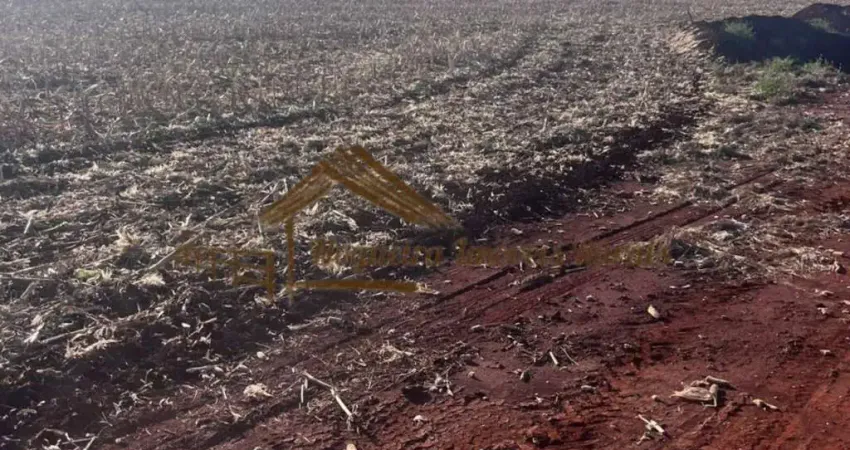 Chácara / sítio à venda na Área Rural de Ourinhos, Ourinhos 