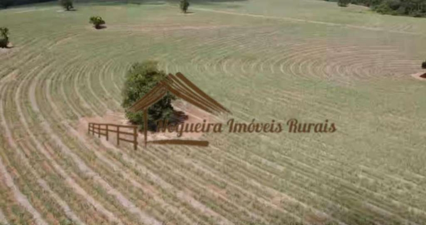 Sítio para Venda em Itapetininga, Área Rural de Itapetininga