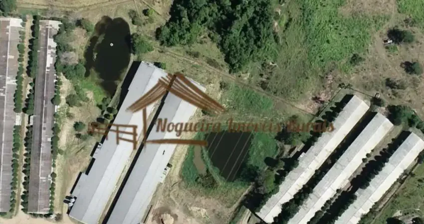 Chácara / sítio à venda na Zona Rural, Cesário Lange 