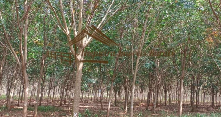 Fazenda à venda na Zona Rural, Cassilândia 