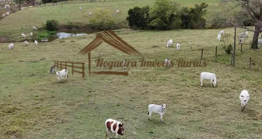 Chácara / sítio à venda na Área Rural, Zona Rural, Cesário Lange