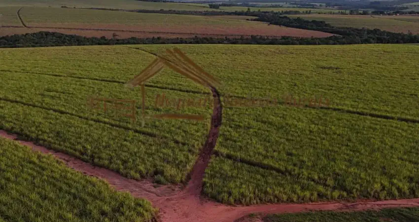 Fazenda para Venda em São Manuel, Área Rural de São Manuel