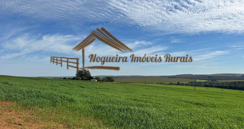 Fazenda para Venda em Paranapanema, Área Rural de Paranapanema