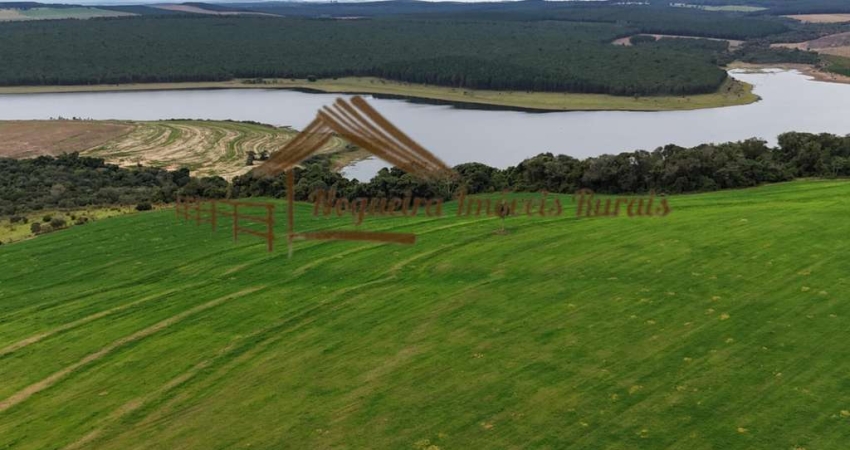 Fazenda à venda na Área Rural, Área Rural de Avaré, Avaré