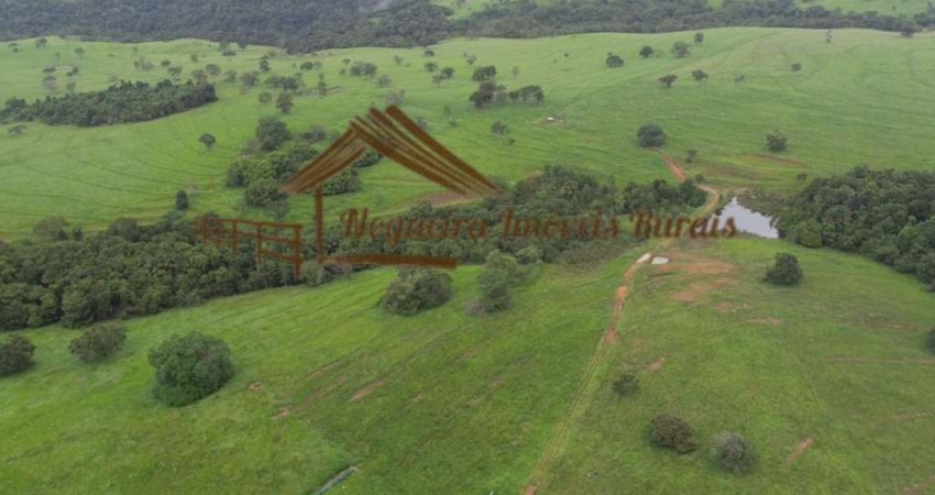 Fazenda para Venda em Cassilândia, Área Rural de Cassilândia