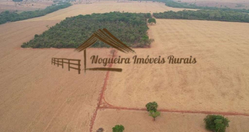 Fazenda para Venda em Cassilândia, Área Rural de Cassilândia