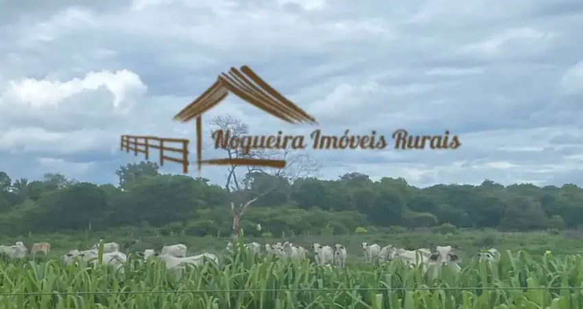 Fazenda para Venda em Januária, Área Rural de Januária