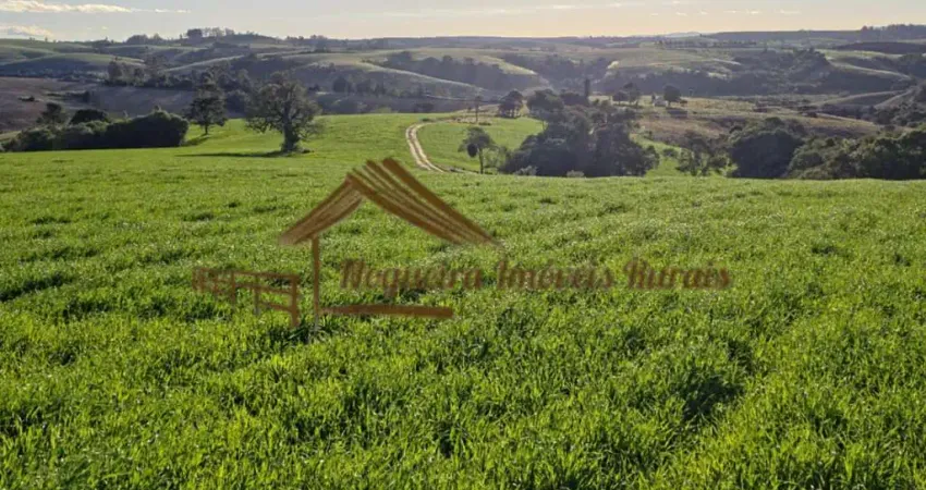 Fazenda para Venda em Itapetininga, Área Rural de Itapetininga