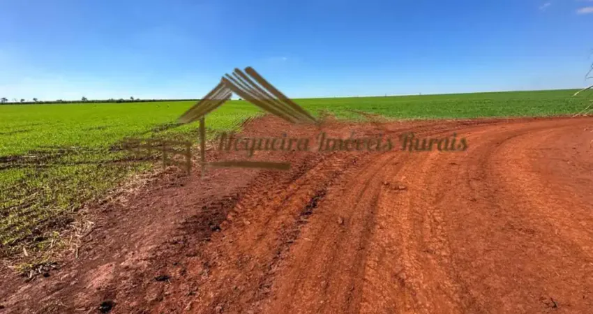 Fazenda à venda na Área Rural, Área Rural de Avaré, Avaré