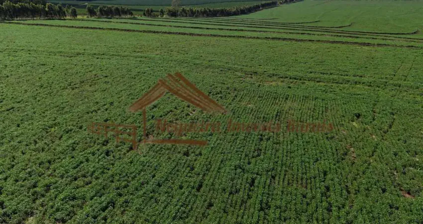 Fazenda à venda na Área Rural, Área Rural de Avaré, Avaré