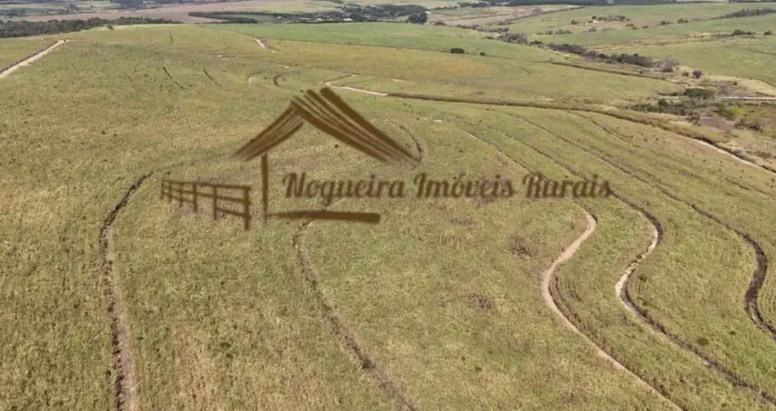 Fazenda à venda na Área Rural, Área Rural de Avaré, Avaré