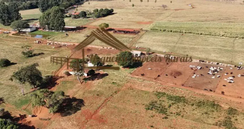 Fazenda à venda na Área Rural, Área Rural de Avaré, Avaré