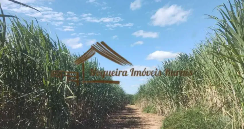 Fazenda à venda na Área Rural de Ourinhos, Ourinhos