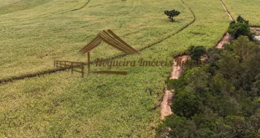 Fazenda à venda na Área Rural de Avaré, Avaré 
