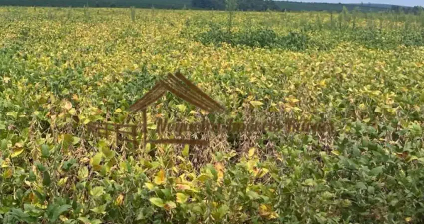 Fazenda à venda na Área Rural de Avaré, Avaré