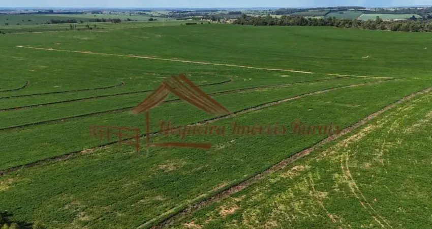 Fazenda à venda na Área Rural de Avaré, Avaré