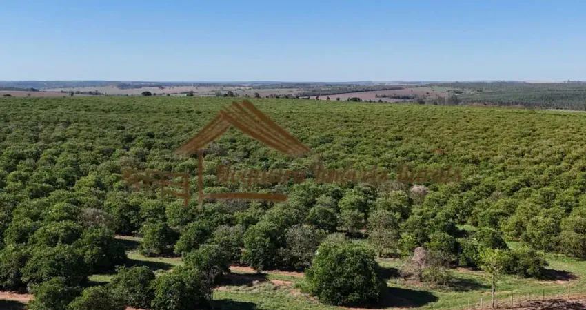 Fazenda à venda na Área Rural de Avaré, Avaré 