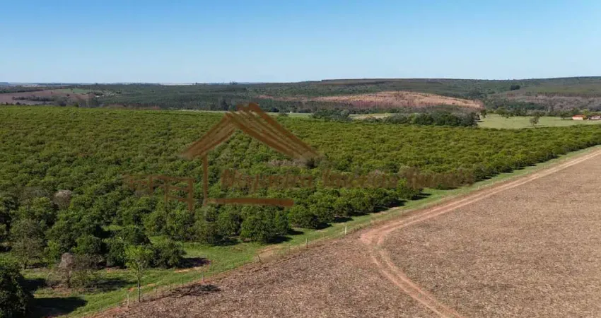 Fazenda à venda na Área Rural de Avaré, Avaré 