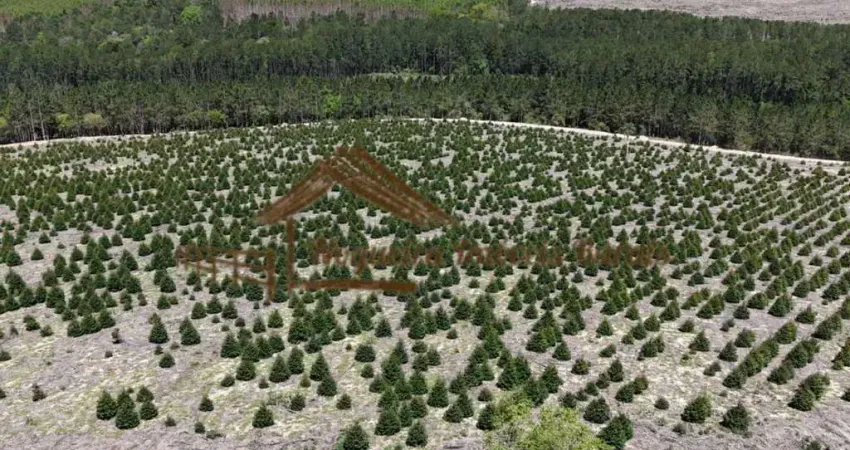 Fazenda à venda na Zona Rural, Bofete 
