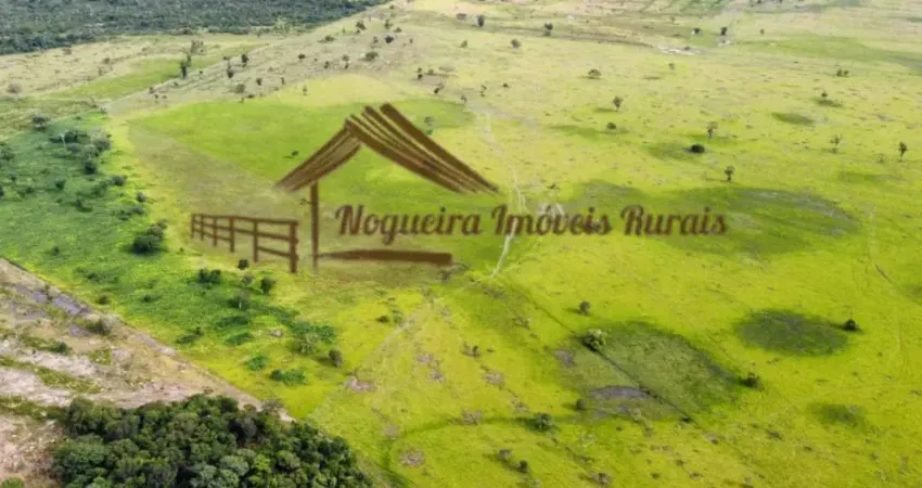 Fazenda para venda em formoso do araguaia, área rural de formoso do araguaia
