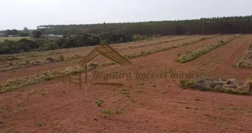 Chácara / sítio à venda na Zona Rural, Botucatu 