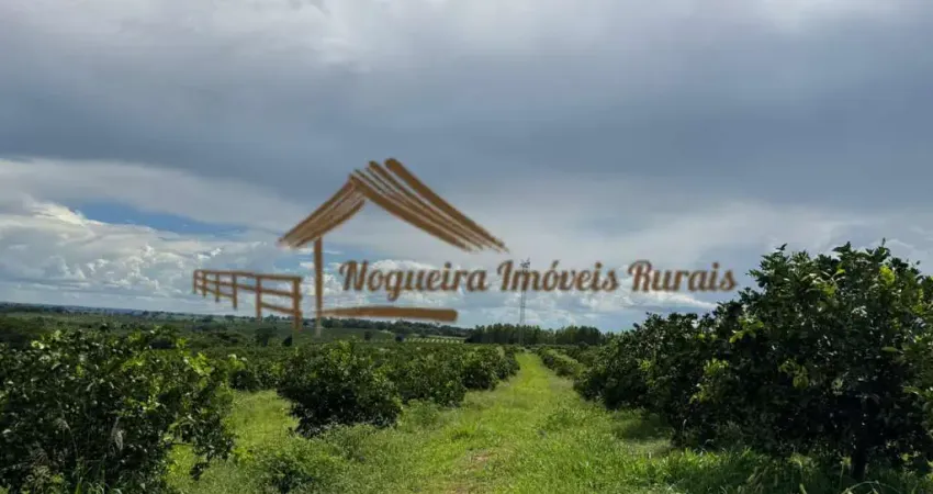 Fazenda para venda em fernandópolis, área rural de fernandópolis