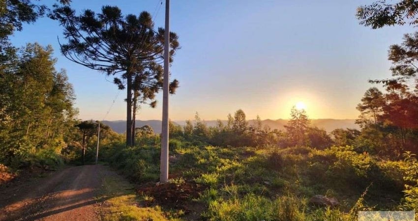 EXCELENTE AREA DE TERRAS PARA CONSTRUIR PERTO DO CENTRO DE NOVA PETROPOLIS-RS.