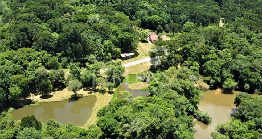 Chácara / sítio com 3 quartos à venda no Centro, Bocaiúva do Sul 