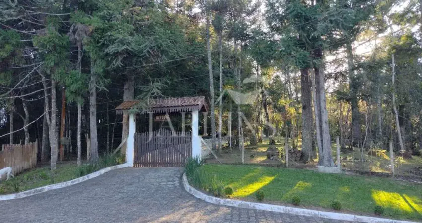 Chácara / sítio com 2 quartos à venda na Rodovia José Taverna (ant. Estrada da Roseira), 72, Roseira, Campina Grande do Sul