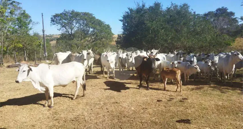 Fazenda à venda na Fazenda 47 Alqueires (dupla Aptidão), Centro, Pirenópolis