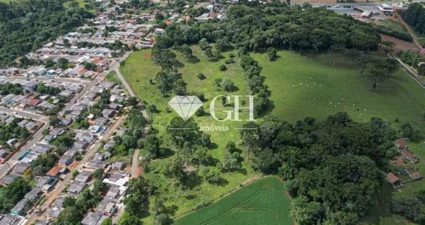 Sala comercial à venda no Periquitos, Ponta Grossa 