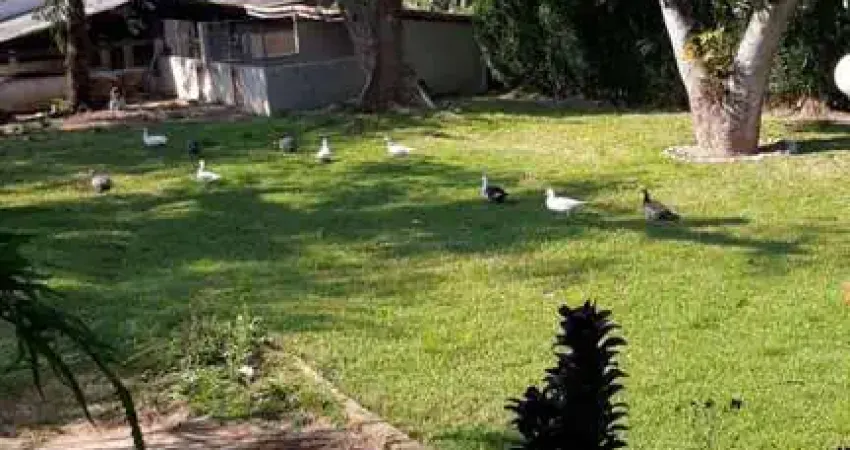 Fazenda à venda na BR 101 KM 246, 246, Caxito, Silva Jardim