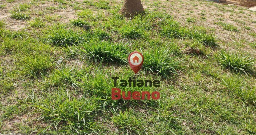 Terreno à venda, 247 m² por R$ 371.000 - Recanto dos Eucaliptos - São José dos Campos/SP