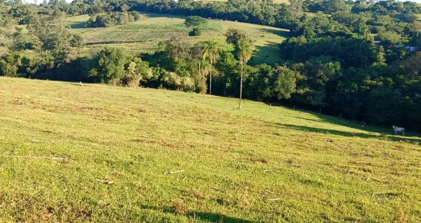 Chácara / sítio à venda na Estrada André Haubert, Lomba Grande, Novo Hamburgo