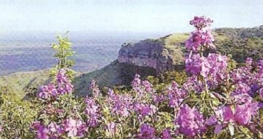 Chácara / sítio à venda na Rua Fernando Correa, 100, Bom Clima, Chapada dos Guimarães