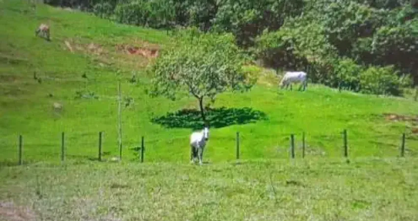 Chácara / sítio à venda na Rocha Leão, Rocha Leão, Rio das Ostras