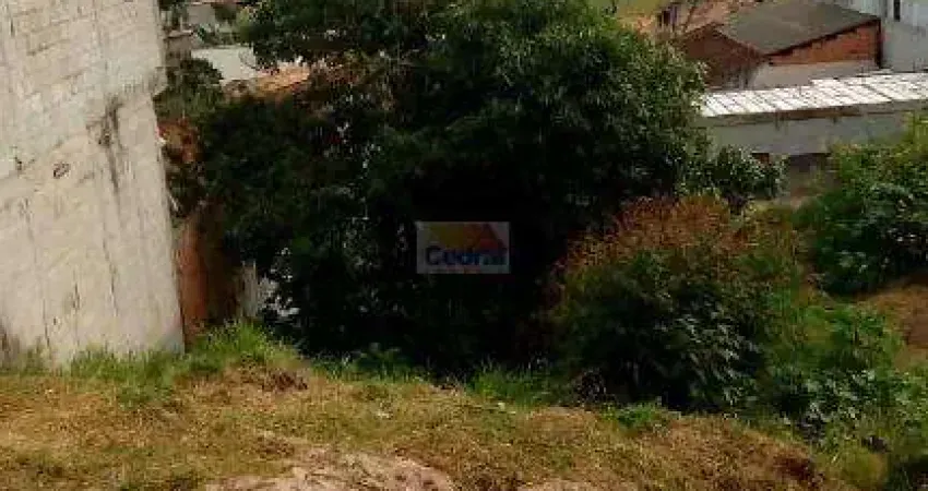 Terreno à venda, 500 m² por r$ 120.000,00 - vila são paulo - mogi das cruzes/sp