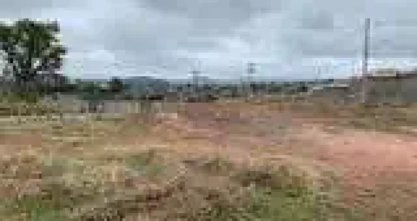 Terreno   com 211,55 m² terreno plano em ótima localização em Bom Jesus dos Perd
