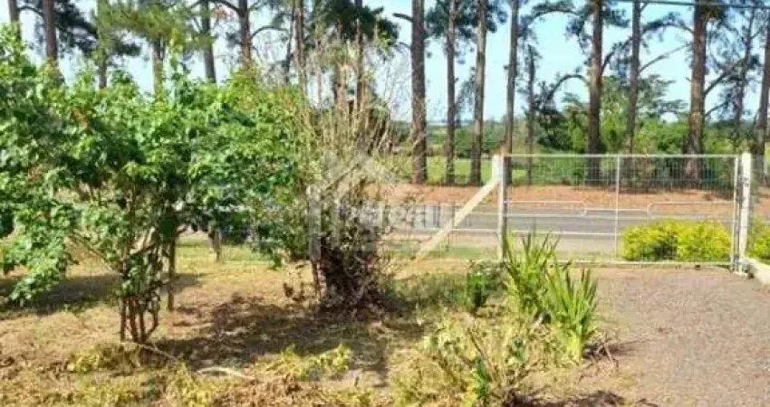 Chácara / sítio com 2 quartos à venda na Avenida Avelino Maciel Neto, 21848, Três Figueiras, Glorinha