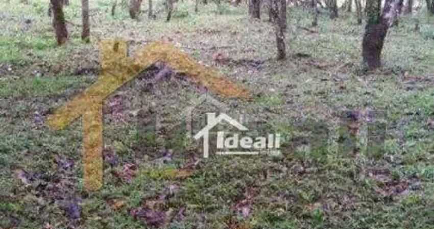 Terreno Residencial à venda, Vera Cruz, Gravataí - TE1009.