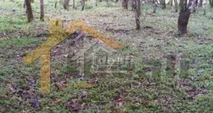 Terreno à venda na Rodovia Rs 020, Vera Cruz, Gravataí