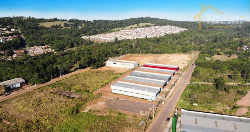Pavilhão à venda, 490 m² por R$ 1.750.000,00 - Fazenda São Borja - São Leopoldo/RS