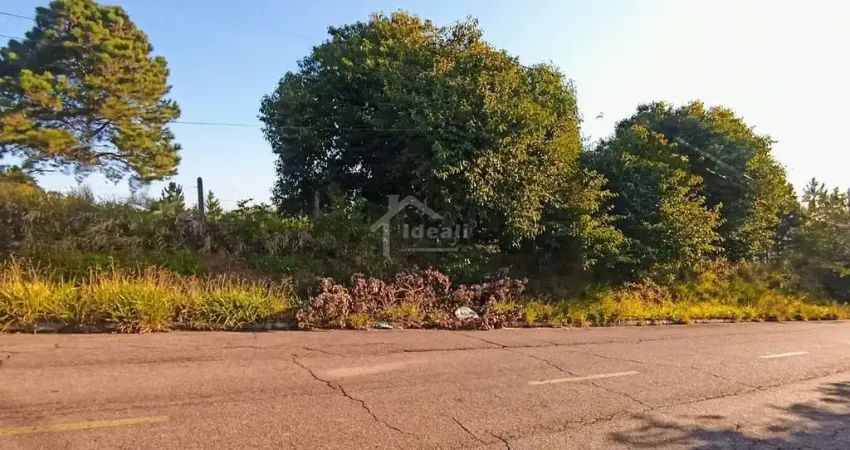 Terreno à venda na Rua Nestor Moraes, 354, Lomba da Palmeira, Sapucaia do Sul