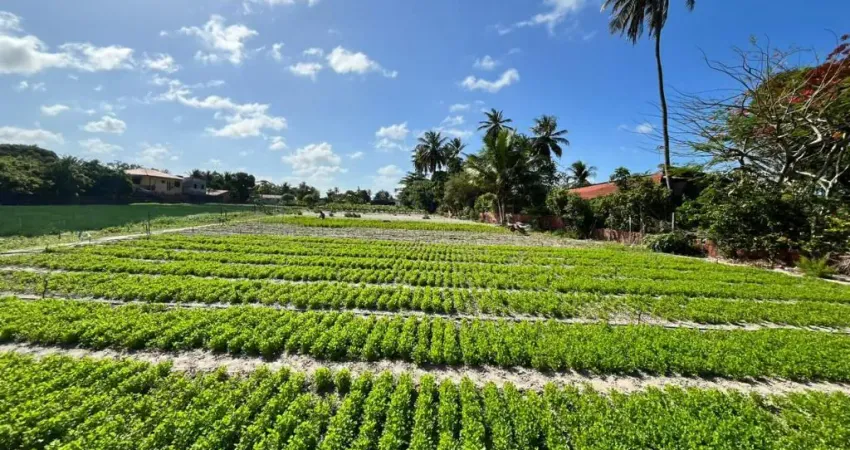 Terreno à venda na Rua do Maria Hilária, SN, Lagoa Redonda, Fortaleza