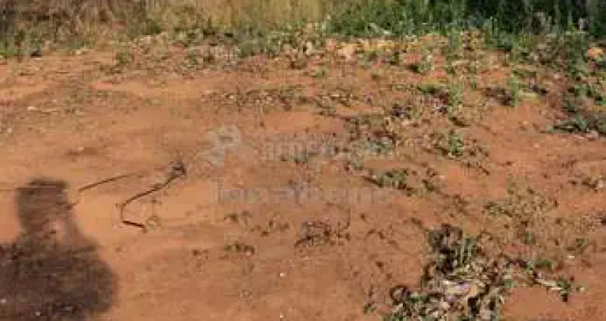 Terreno à venda no Centro, Adolfo 