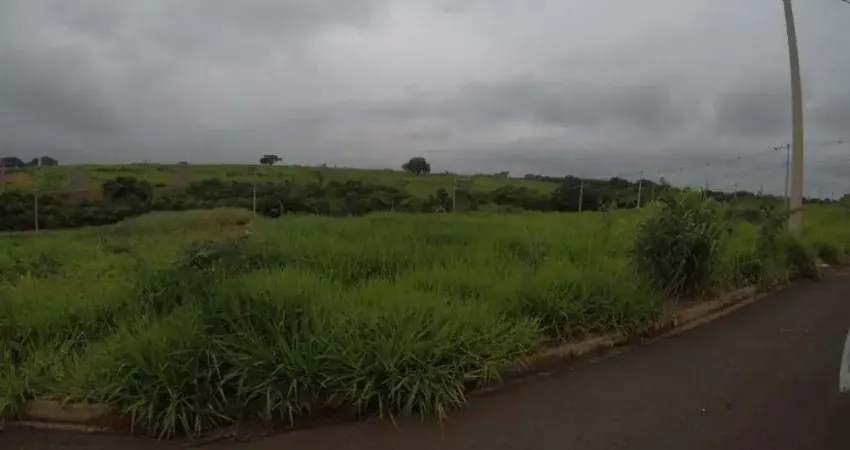 Terreno à venda no Jardim Menezes, Bady Bassitt 